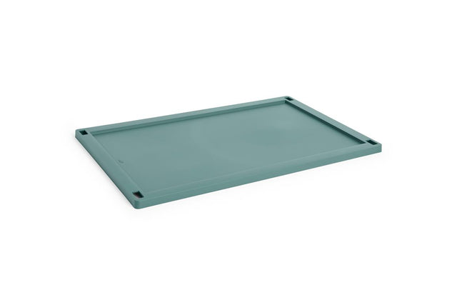Lid for Colour Crate L storage box made of plastic