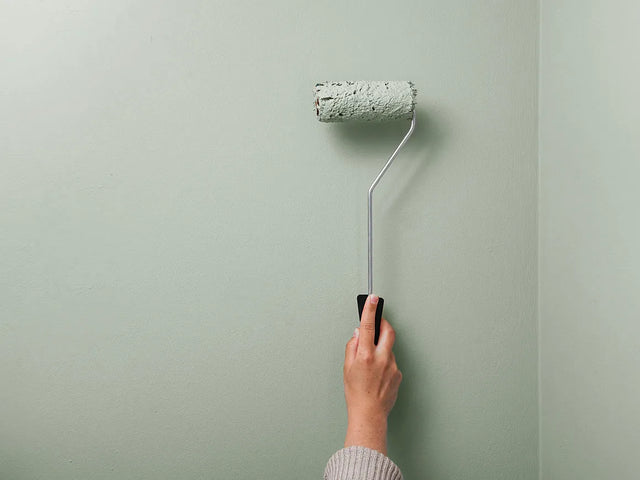 Wall paint | Reed Grey