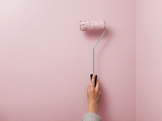 Wall paint | Reed Grey