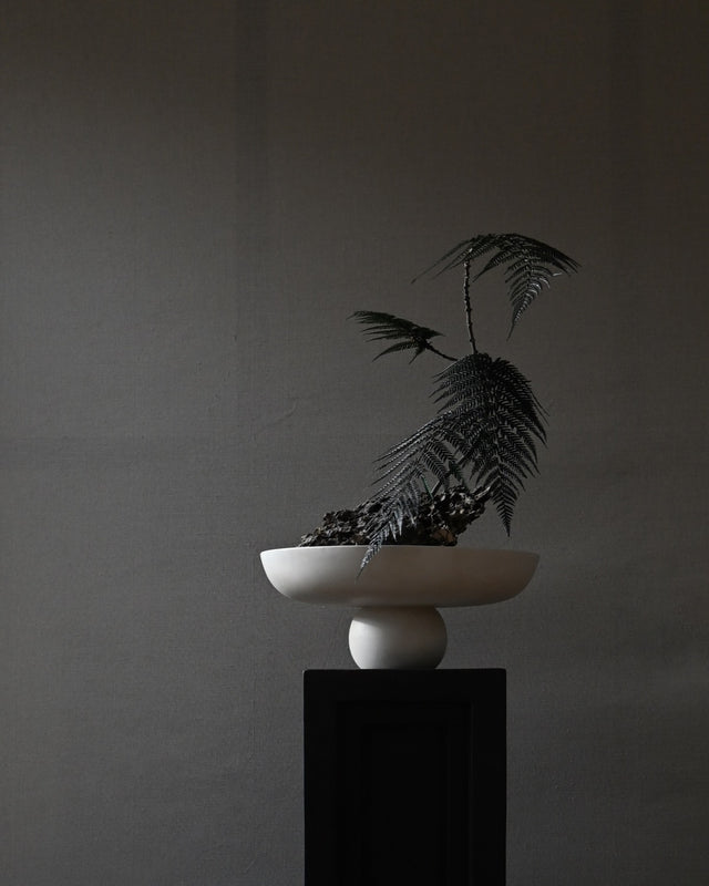 Bowl | Baburu Big