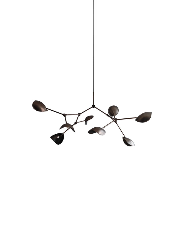 Kronleuchter | Stingray  | Grande