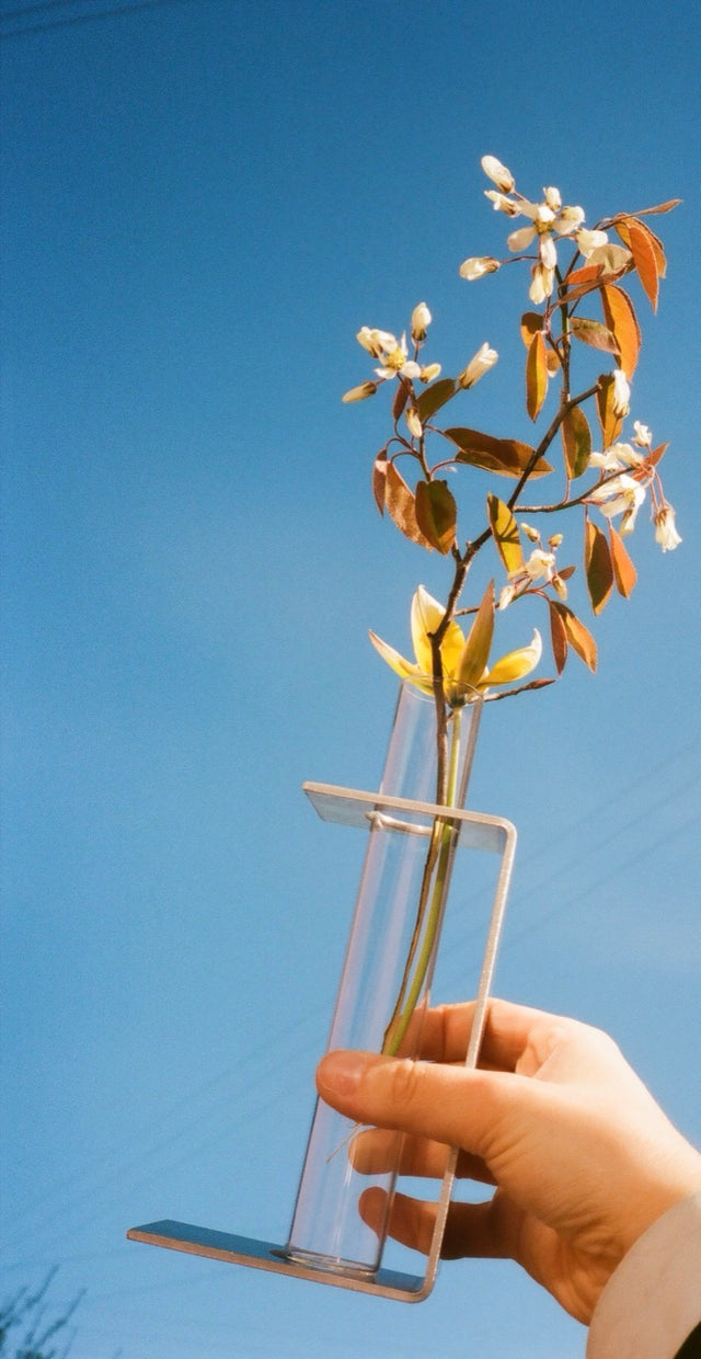 Vase | Stem