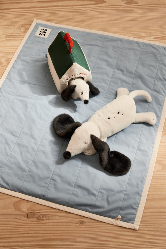Teddy | schläfriger Hund | Berto