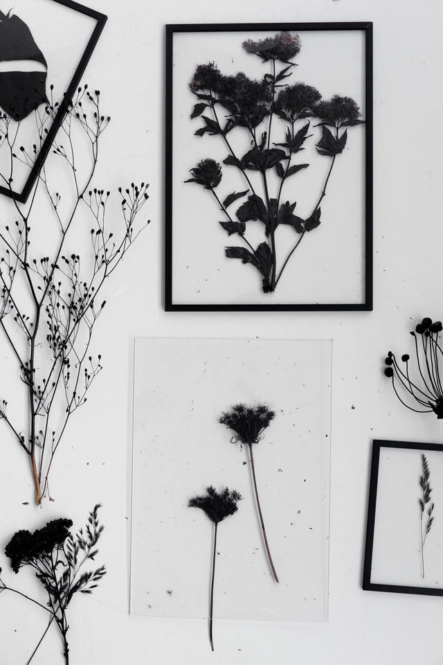 Picture Frame | Black