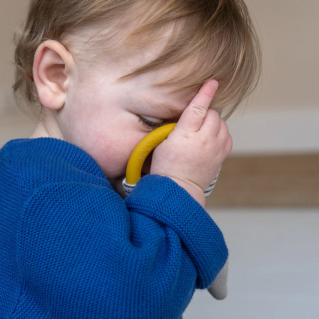 Teething Ring | Animals